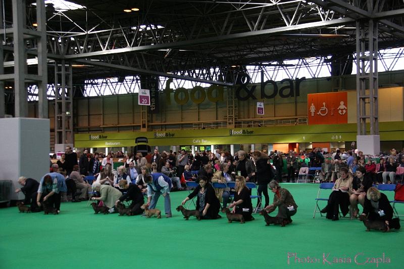 Crufts2011_2 779.jpg